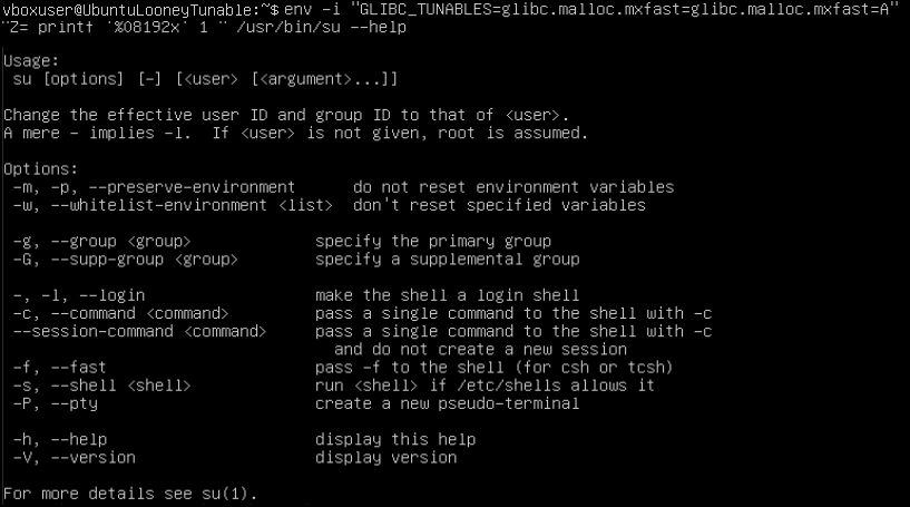 Vulnerability fixed image
